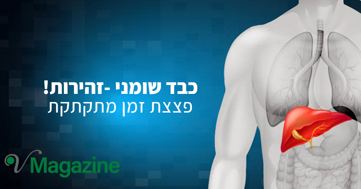 מאמר כבד שומני -זהירות! פצצת זמן מתקתקת