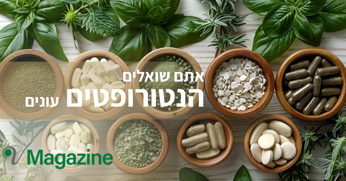 תמונה ראשית למאמר אתם שואלים ...