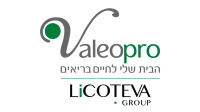 logo valeopro