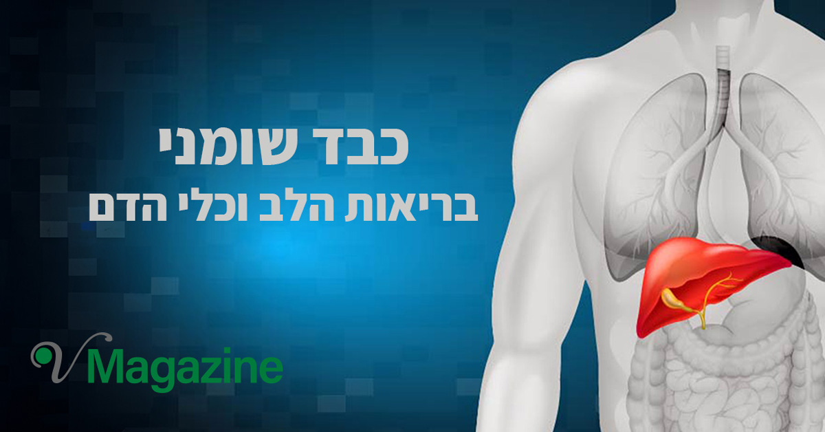 מאמר הקשר ההדוק בין הכבד השומני לבריאות הלב וכלי הדם