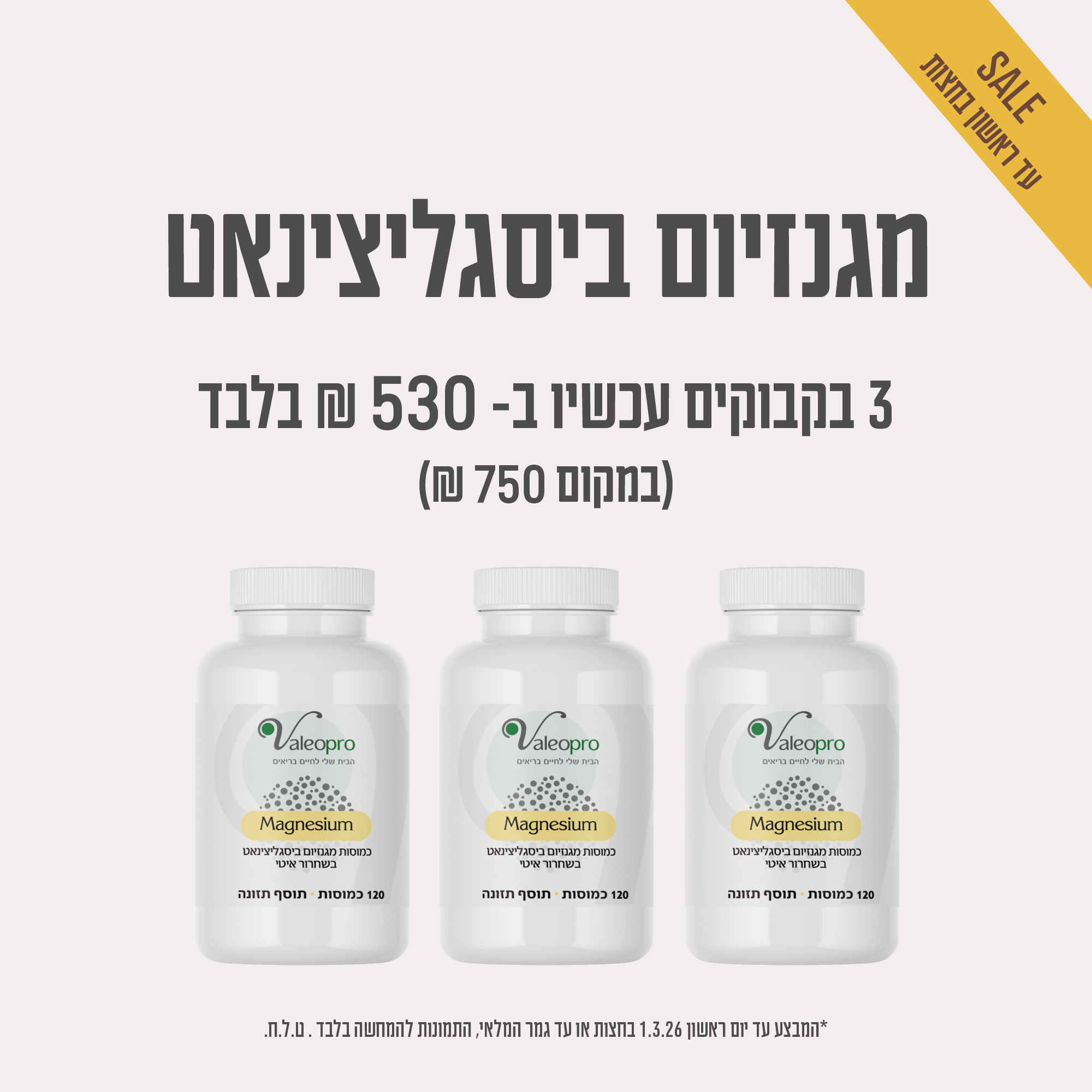 תמונת מוצר מגנזיום ביסגליצינאט